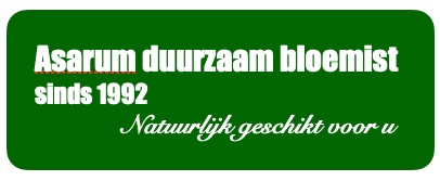 Naar de startpagina